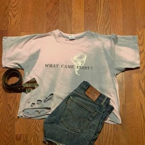 Vintage Destroyed Crop Tee
